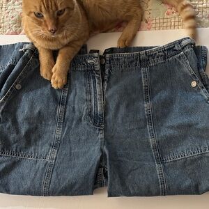 Blue Denim Short pants by Ralph Lauren cat not included. Inseam 20